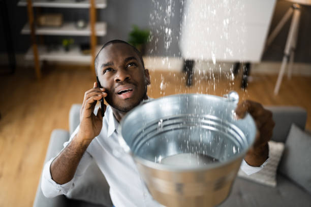 Best Sewage cleanup and water damage restoration  in Peosta, IA