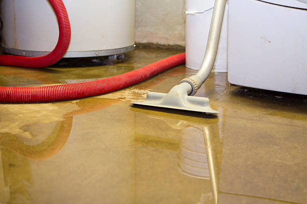 Best Ceiling water damage repair  in Peosta, IA