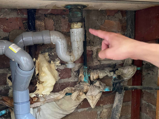 Water damage restoration experts in IA